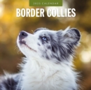 Border Collies 2025 Square Wall Calendar - Book