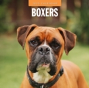 Boxers 2025 Square Wall Calendar - Book