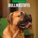 Bullmastiffs 2025 Square Wall Calendar - Book