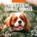 Cavalier King Charles Spaniel 2025 Square Wall Calendar - Book