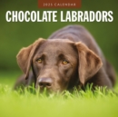 Chocolate Labradors 2025 Square Wall Calendar - Book