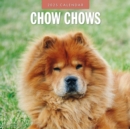 Chow Chows 2025 Square Wall Calendar - Book