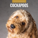 Cockapoos 2025 Square Wall Calendar - Book