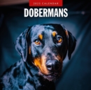 Dobermans 2025 Square Wall Calendar - Book