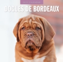 Dogues de Bordeaux 2025 Square Wall Calendar - Book