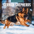 German Shepherds 2025 Square Wall Calendar - Book