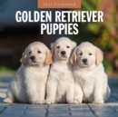 Golden Retriever Puppies 2025 Square Wall Calendar - Book