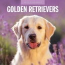 Golden Retrievers 2025 Square Wall Calendar - Book