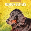 Gordon Setters 2025 Square Wall Calendars - Book