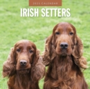 Irish Setters 2025 Square Wall Calendar - Book