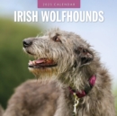 Irish Wolfhounds 2025 Square Wall Calendar - Book