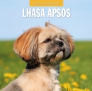 Lhasa Apsos 2025 Square Wall Calendar - Book