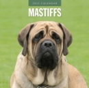 Mastiffs 2025 Square Wall Calendar - Book