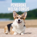 Pembroke Welsh Corgis 2025 Square Wall Calendar - Book