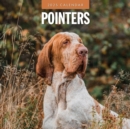 Pointers 2025 Square Wall Calendar - Book