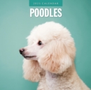 Poodles 2025 Square Wall Calendars - Book