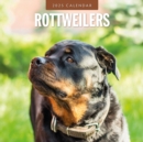 Rottweilers 2025 Square Wall Calendar - Book