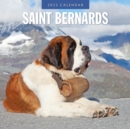 Saint Bernards 2025 Square Wall Calendar - Book