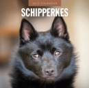 Schipperkes 2025 Square Wall Calendar - Book