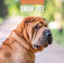 Shar-pei 2025 Square Wall Calendar - Book