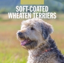 Soft-Coated Wheaten Terriers 2025 Square Wall Calendar - Book