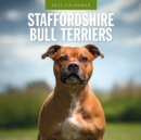 Staffordshire Bull Terriers 2025 Square Wall Calendar - Book