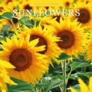 Sunflowers 2025 Square Wall Calendar - Book