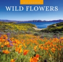 Wild Flowers 2025 Square Wall Calendar - Book