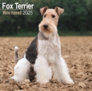 Fox Terrier Wirehaired Calendar 2025 Square Dog Breed Wall Calendar - 16 Month - Book