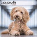 Labradoodle Calendar 2025 Square Dog Breed Wall Calendar - 16 Month - Book