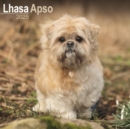 Lhasa Apso Calendar 2025 Square Dog Breed Wall Calendar - 16 Month - Book