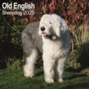 Old English Sheepdog Calendar 2025 Square Dog Breed Wall Calendar - 16 Month - Book