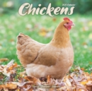 Chickens Calendar 2025 Square Farm Animals & Birds Wall Calendar - 16 Month - Book