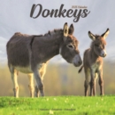 Donkeys Calendar 2025 Square Animal Wall Calendar - 16 Month - Book