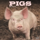 Pigs Calendar 2025 Square Farm Animal Wall Calendar - 16 Month - Book