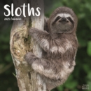 Sloths Calendar 2025 Square Animal Wall Calendar - 16 Month - Book