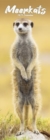 Meerkats Slim Calendar 2025 Cute Slimline Calendar - 12 Month - Book