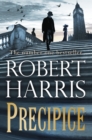 Precipice : The thrilling new novel from the Sunday Times bestseller - eBook