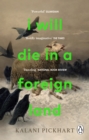 I Will Die in a Foreign Land - Book