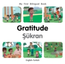 My First Bilingual Book-Gratitude (English-Turkish) - eBook