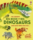 Big Book of Big Dinosaurs - Book