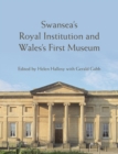 Swansea's Royal Institution and Wales's First Museum - eBook