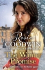 The Winter Promise : A perfect cosy Victorian saga from the Sunday Times bestselling author - Book