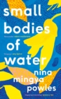 Small Bodies of Water - Book