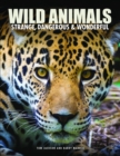 Wild Animals - Book