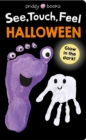 See, Touch, Feel: Halloween - Book