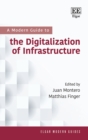 Modern Guide to the Digitalization of Infrastructure - eBook