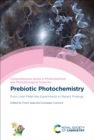 Prebiotic Photochemistry : From Urey–Miller-like Experiments to Recent Findings - eBook
