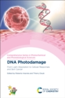 DNA Photodamage : From Light Absorption to Cellular Responses and Skin Cancer - eBook