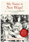 My Name is Not Wigs! - eBook